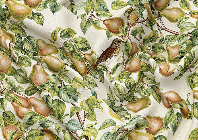 Pears, Petal - Roman Blind - Image 4